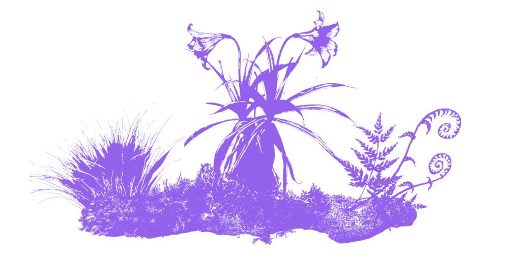 20251126 Diversity Ed 1 1024x512