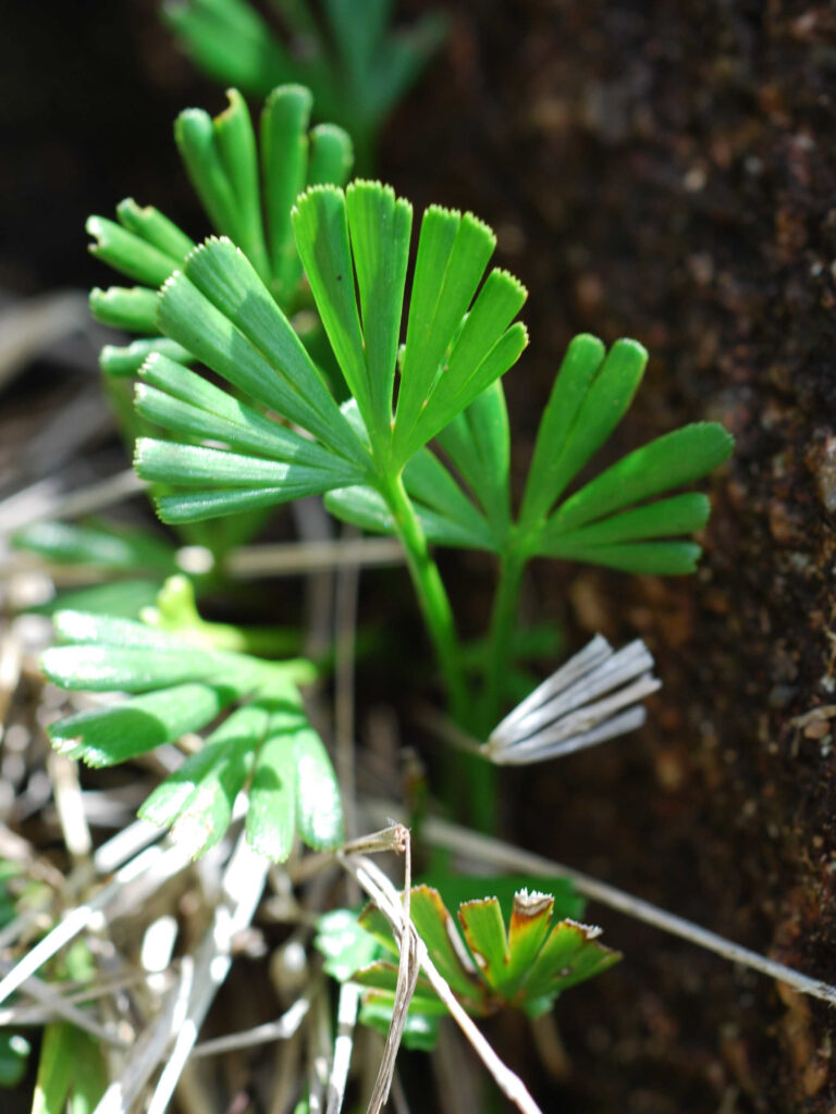 photo by S. Porembski