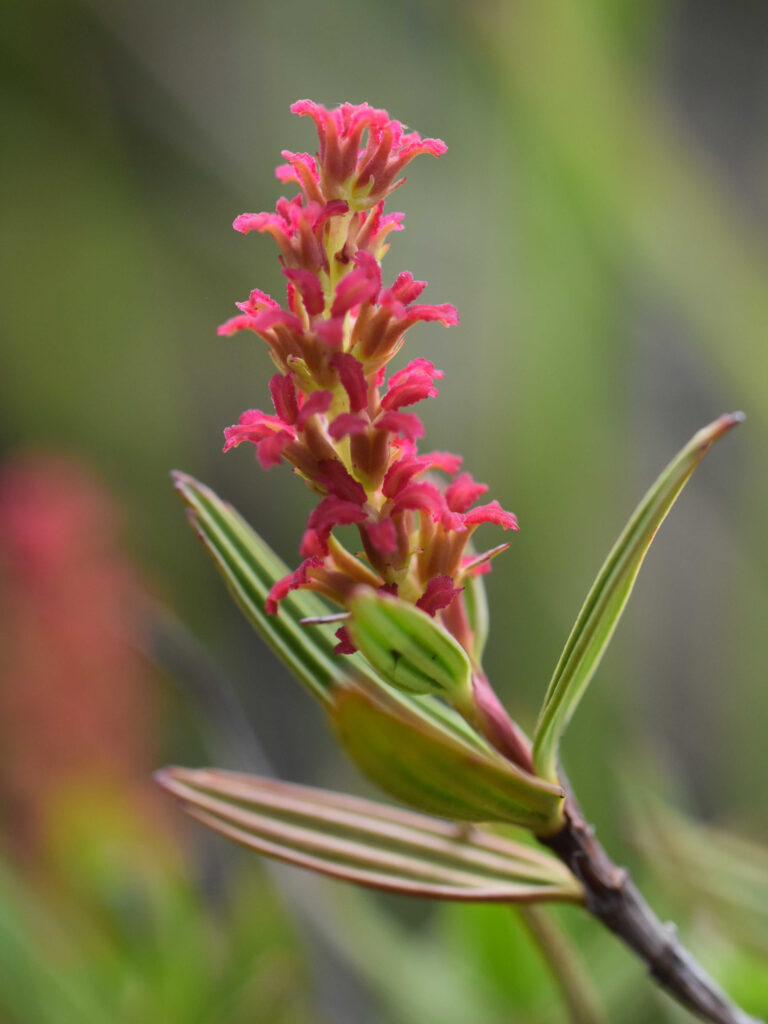 photo by S. Porembski