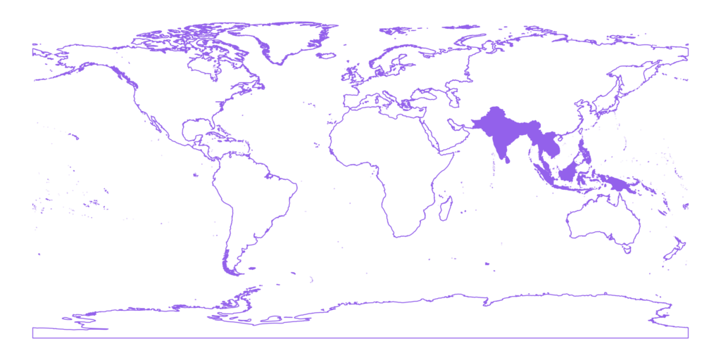 20251126 level1 asia tropical v1