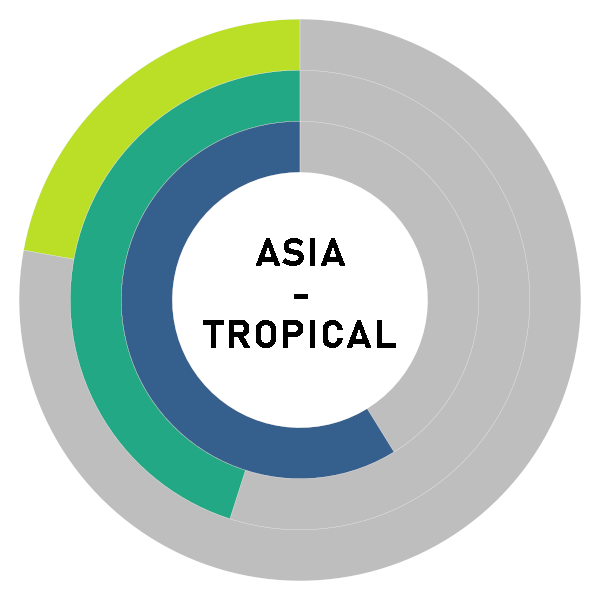 20251210 Donut Chart ASIA TROPICAL