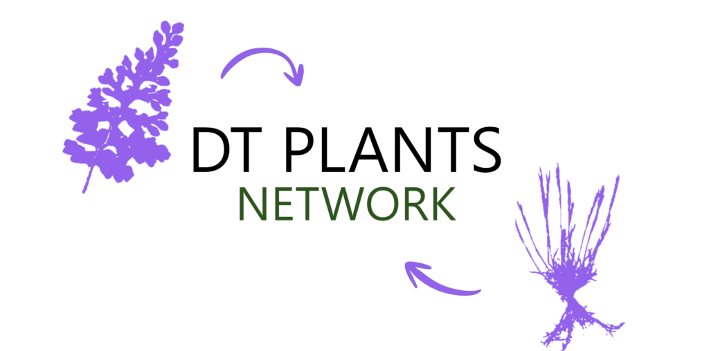 20251219 sp compilation icon