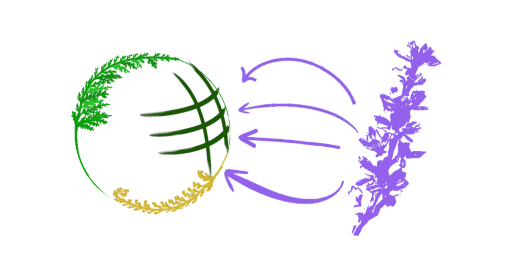 20251219 sp distribution icon