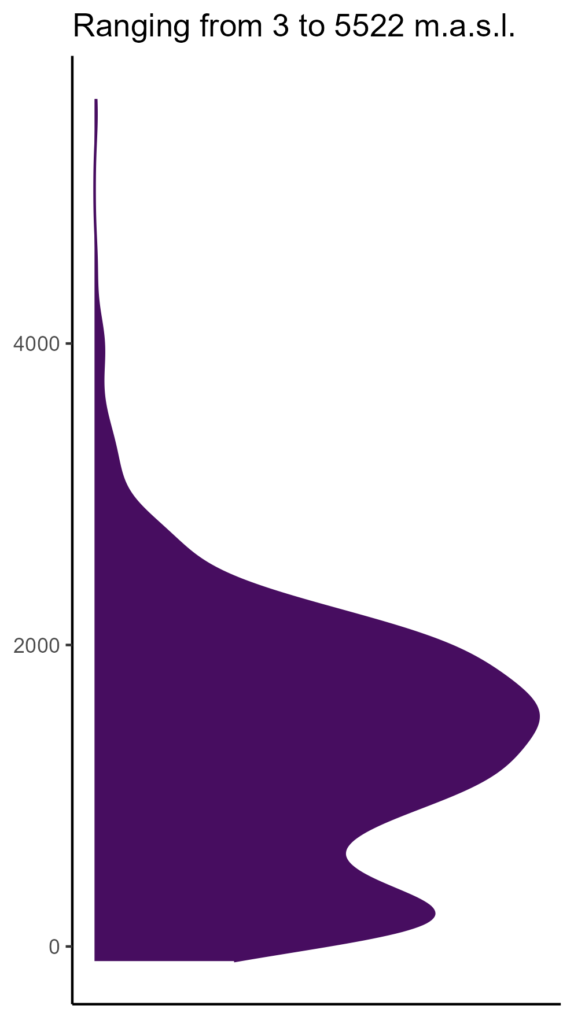 20260120 aaa023 elev