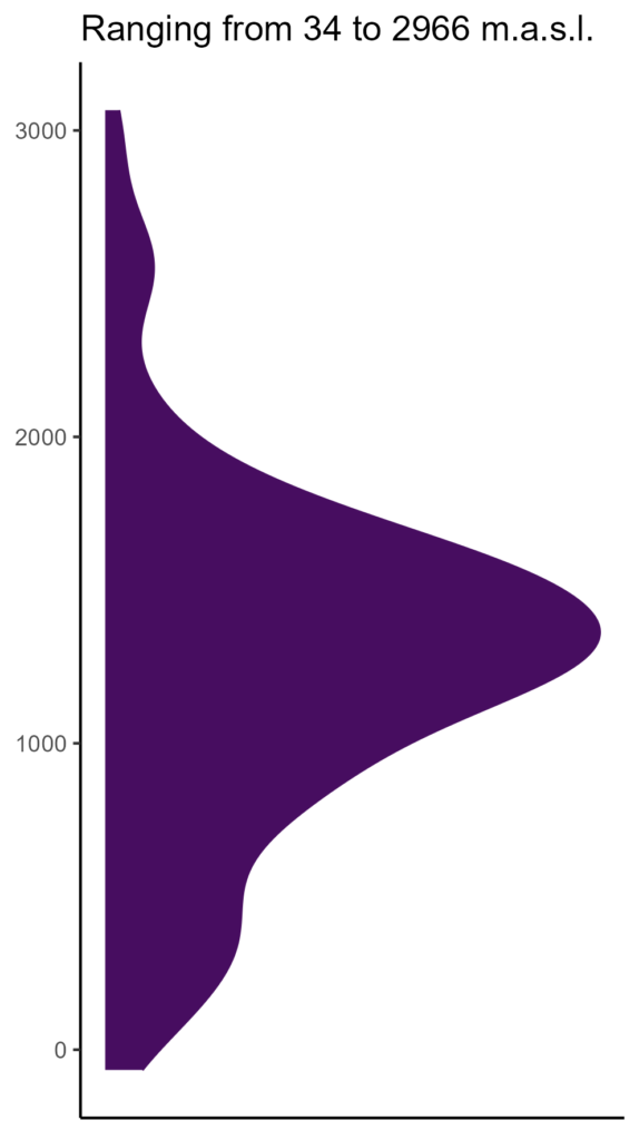 20260120 aac024 elev