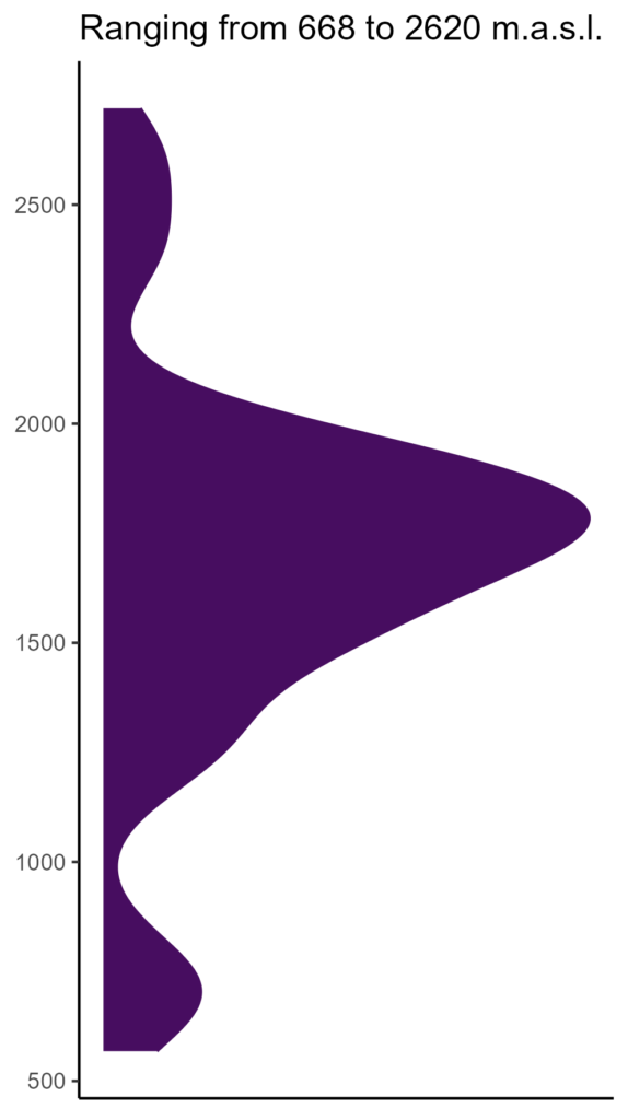 20260120 aad246 elev