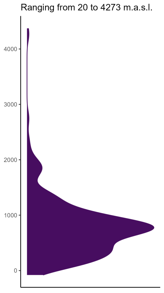 20260120 aaf003 elev