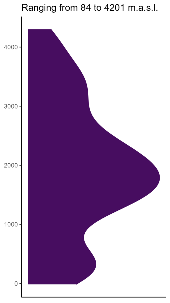 20260120 aaf019 elev