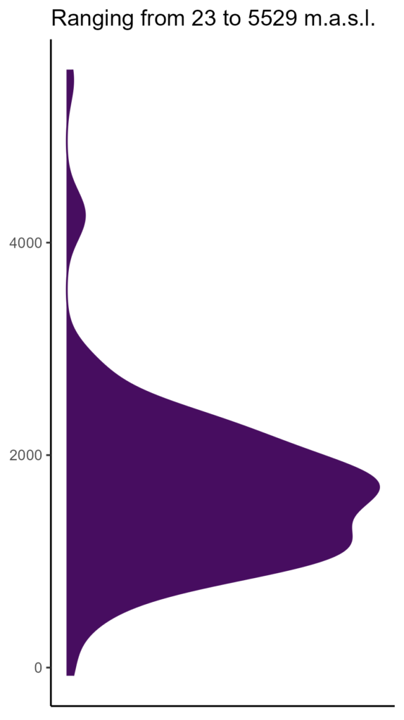 20260120 aag247 elev