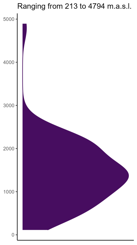 20260120 aam316 elev