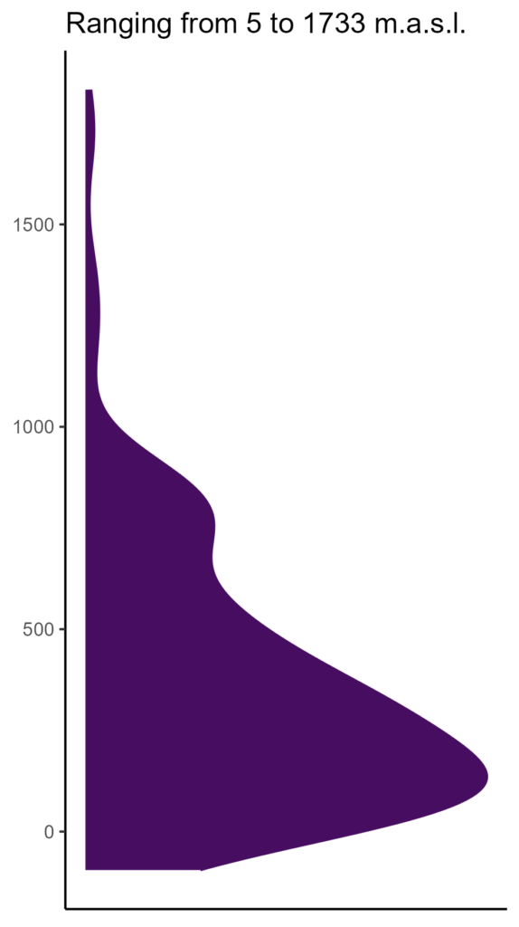 20260120 aao271 elev