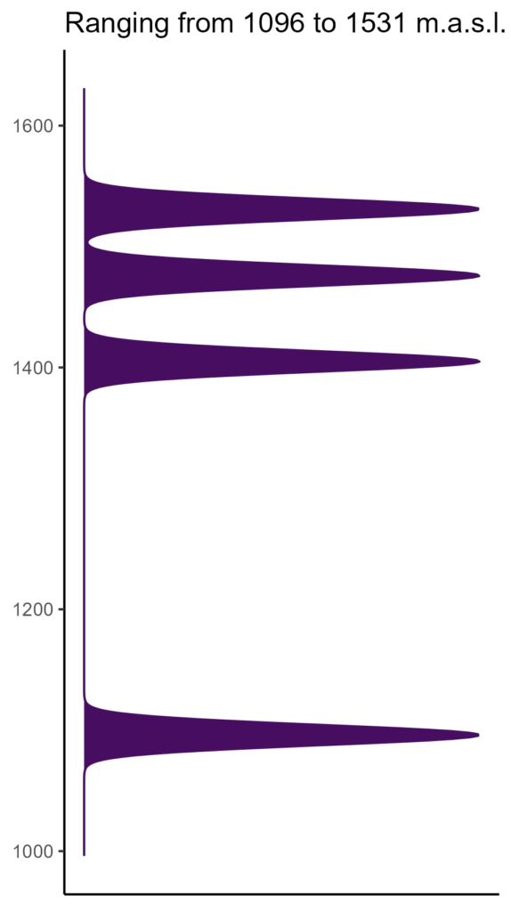 20260120 aap135 elev