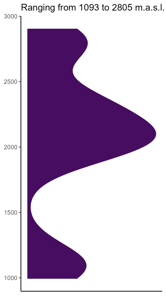 20260120 aap249 elev