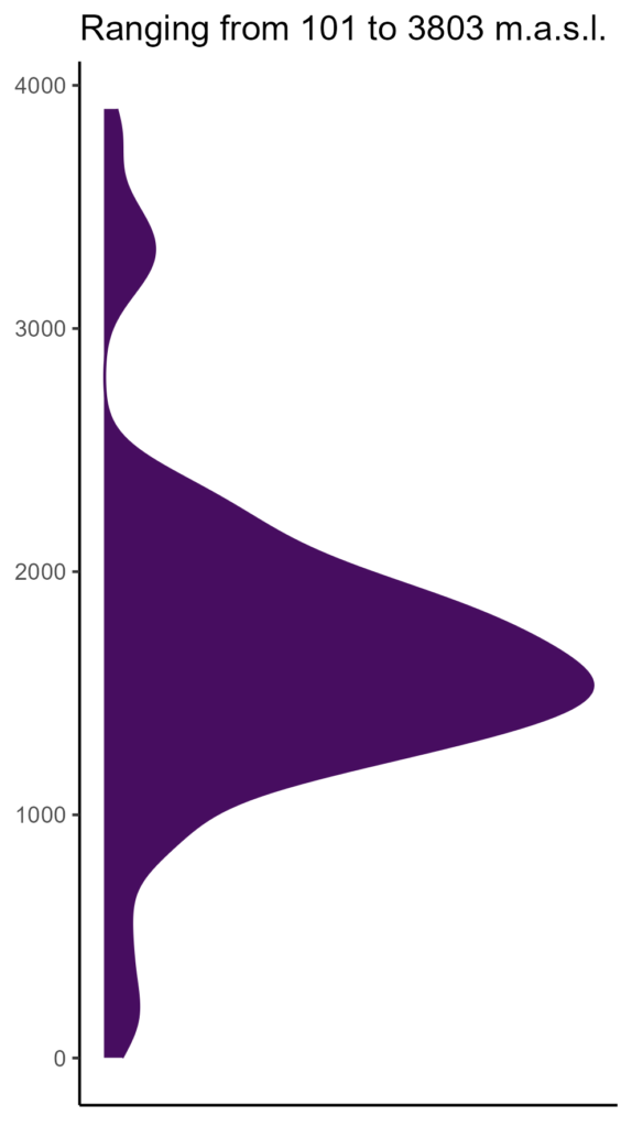 20260120 aat250 elev