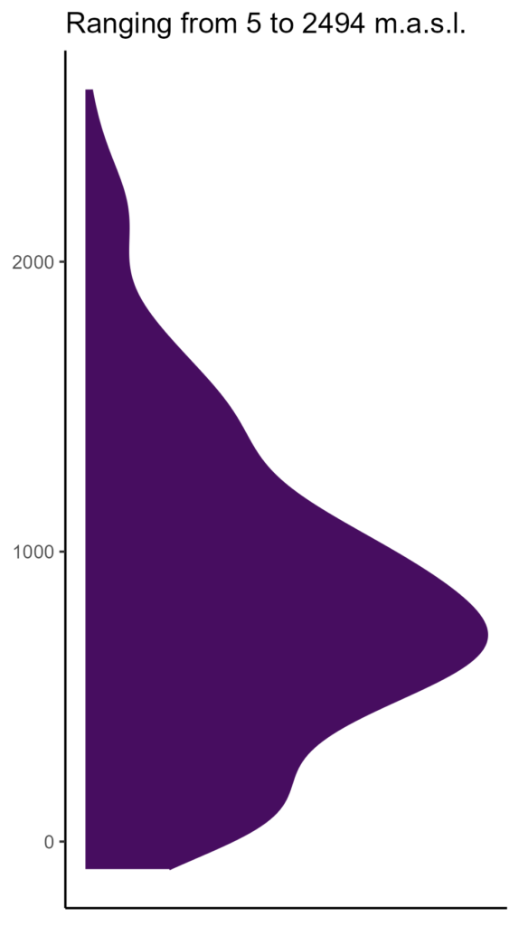 20260120 aav021 elev