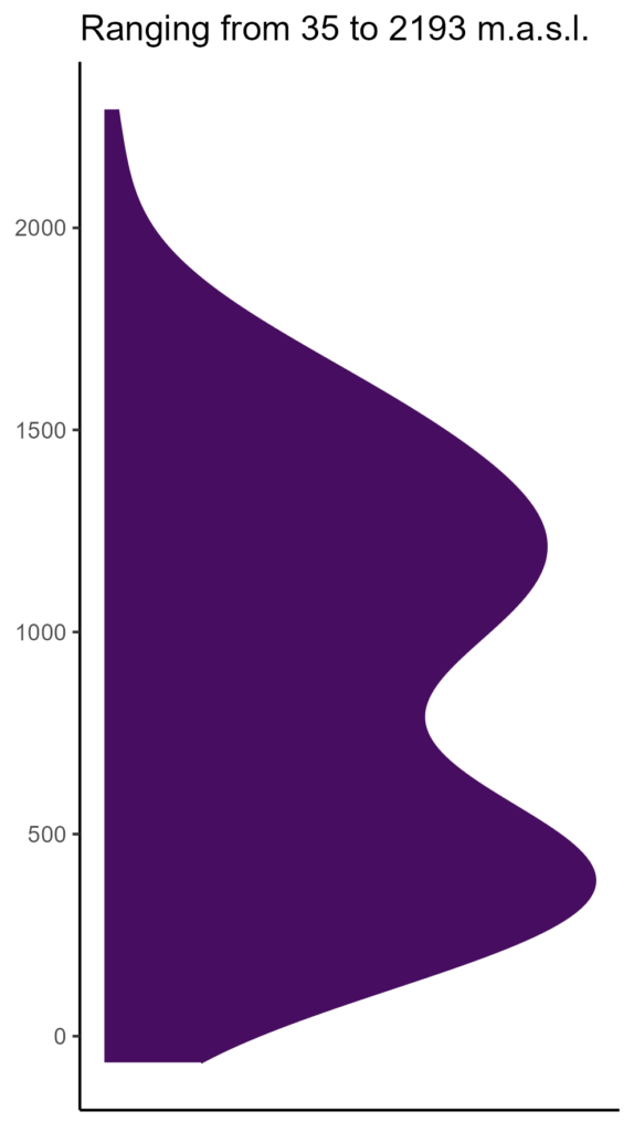 20260120 aax231 elev