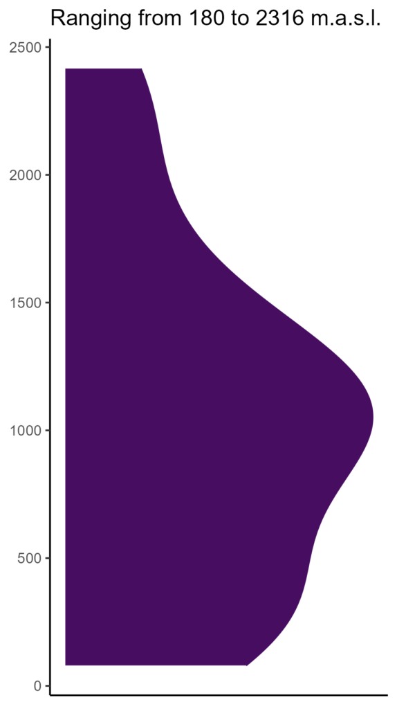 20260120 amc069 elev