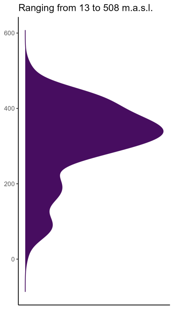 20260120 bbc342 elev