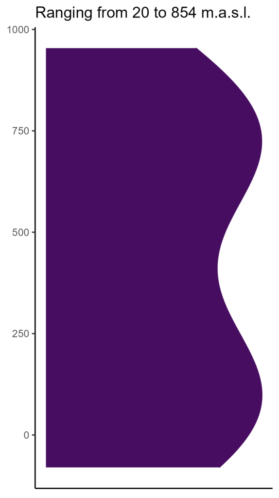 20260120 bbm255 elev