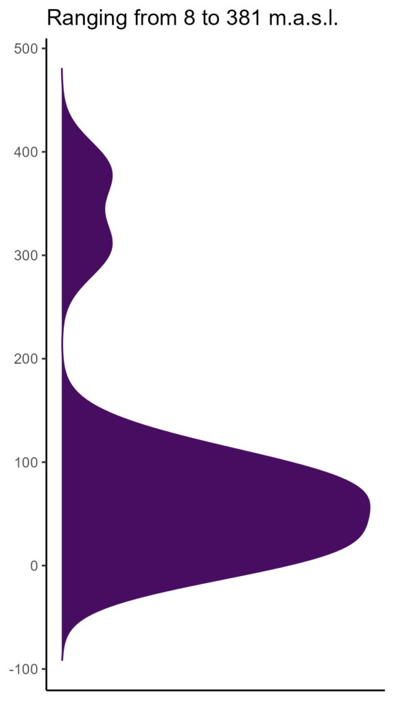 20260120 bbn068 elev