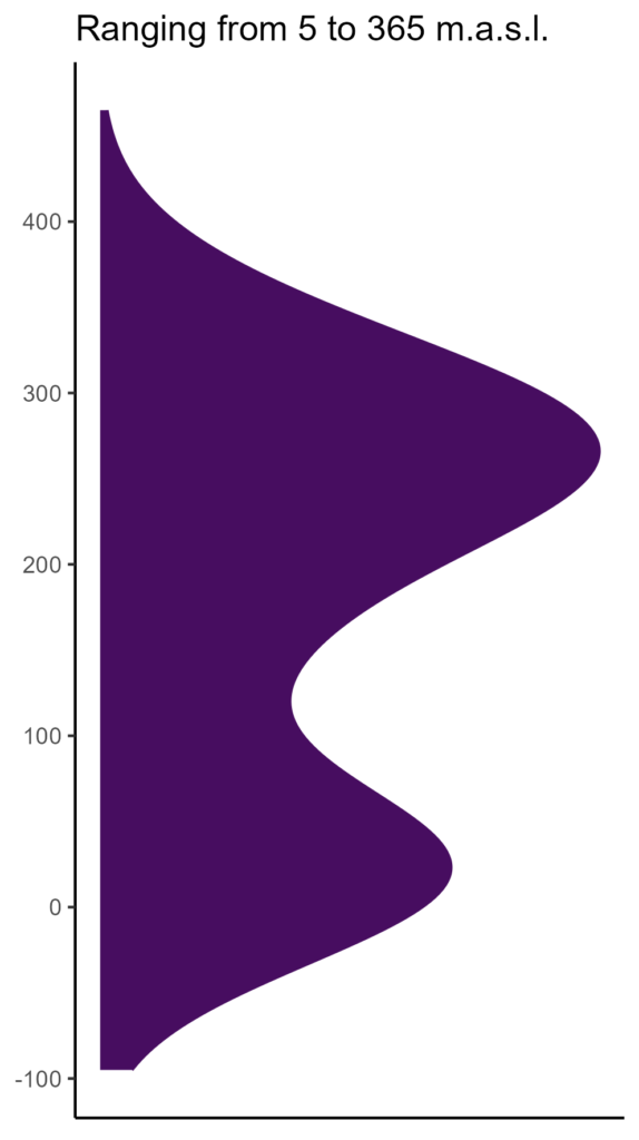 20260120 bbs142 elev