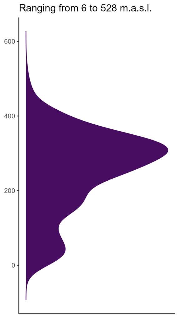 20260120 bbs343 elev