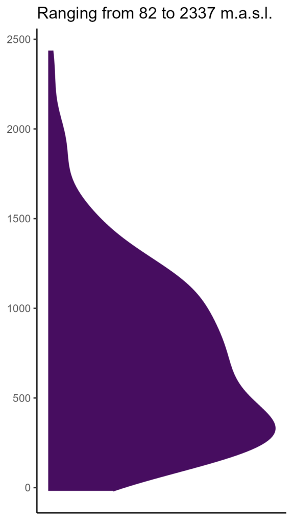 20260120 bpl287 elev