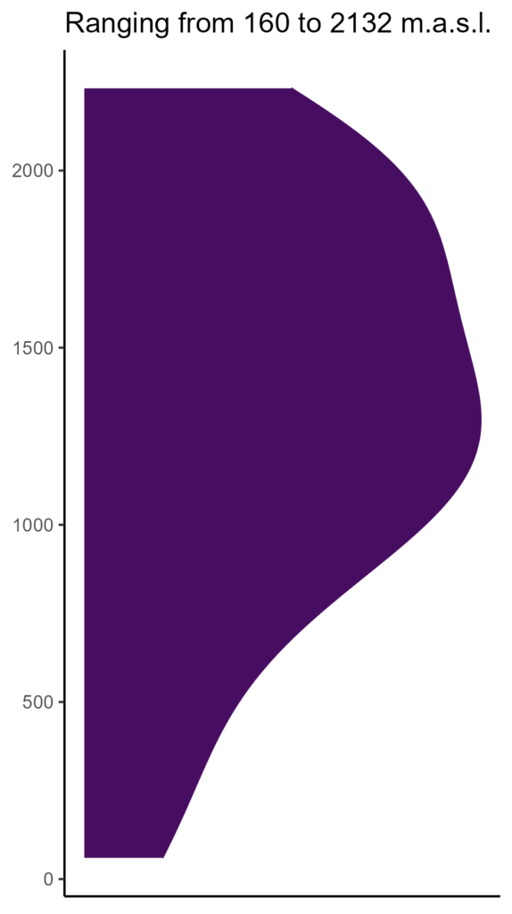 20260120 cca361 elev