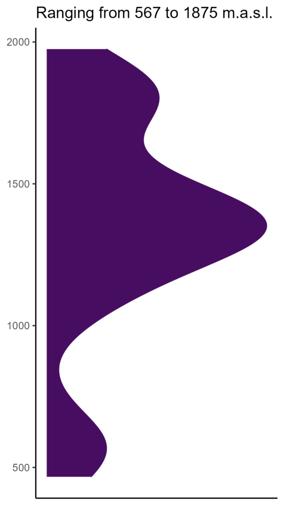 20260120 ccm145 elev