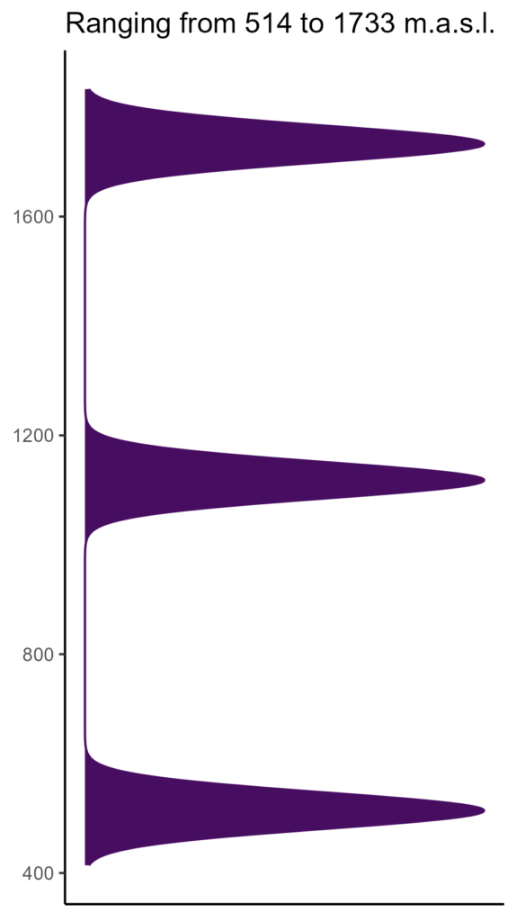 20260120 ccp063 elev