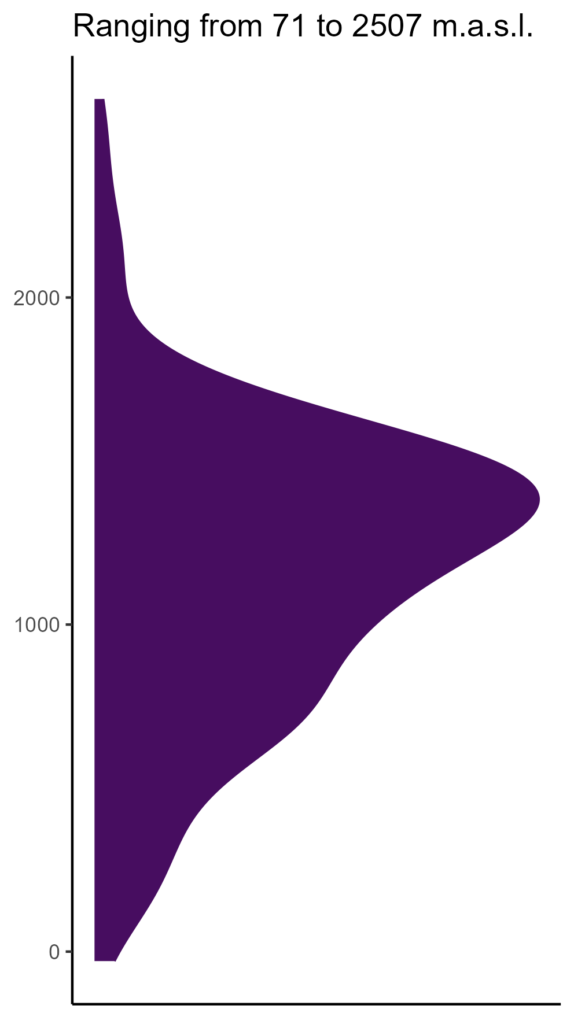 20260120 ccs009 elev