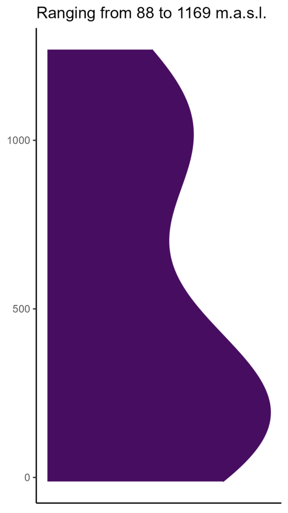 20260120 cms013 elev