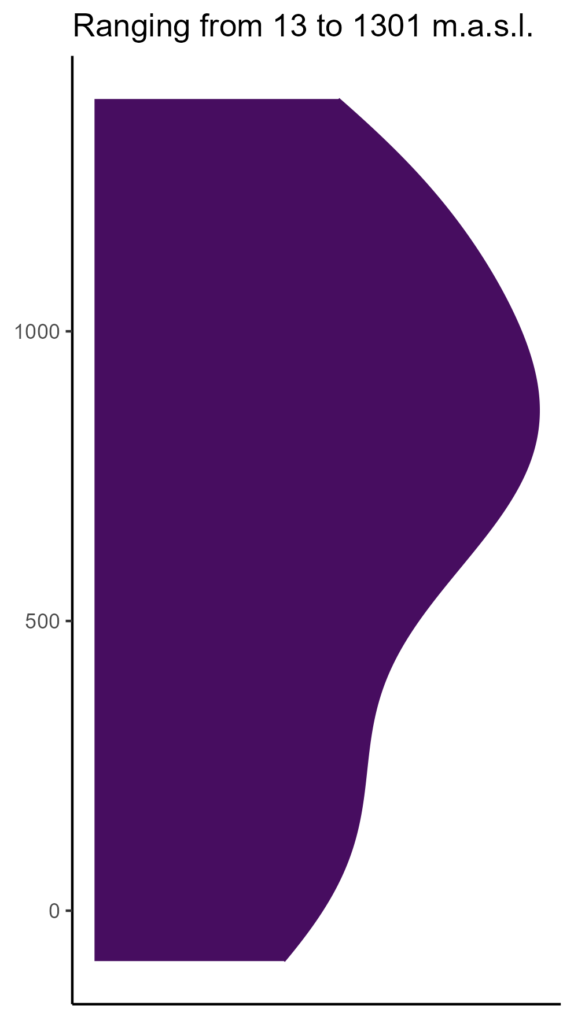 20260120 ctc115 elev