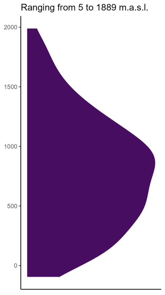 20260120 ctl007 elev