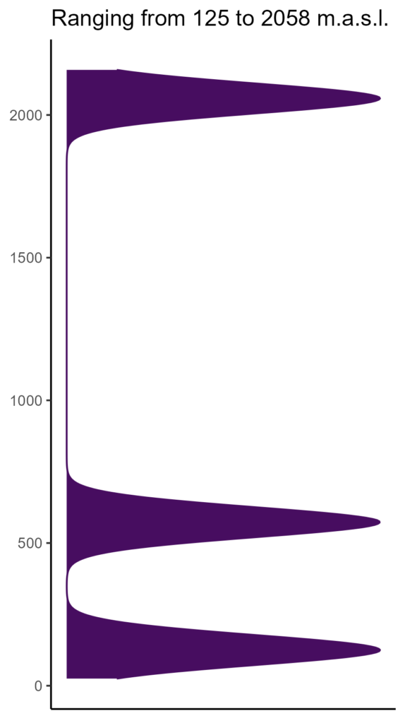 20260120 ctm116 elev