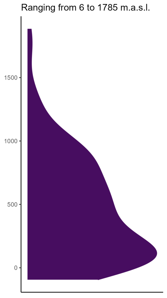 20260120 dda265 elev