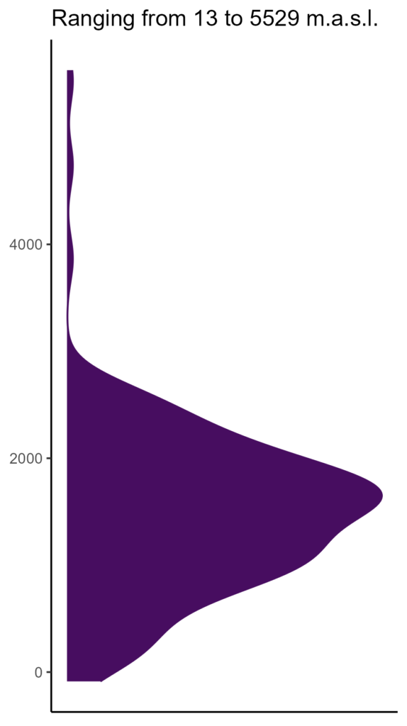 20260120 dea268 elev