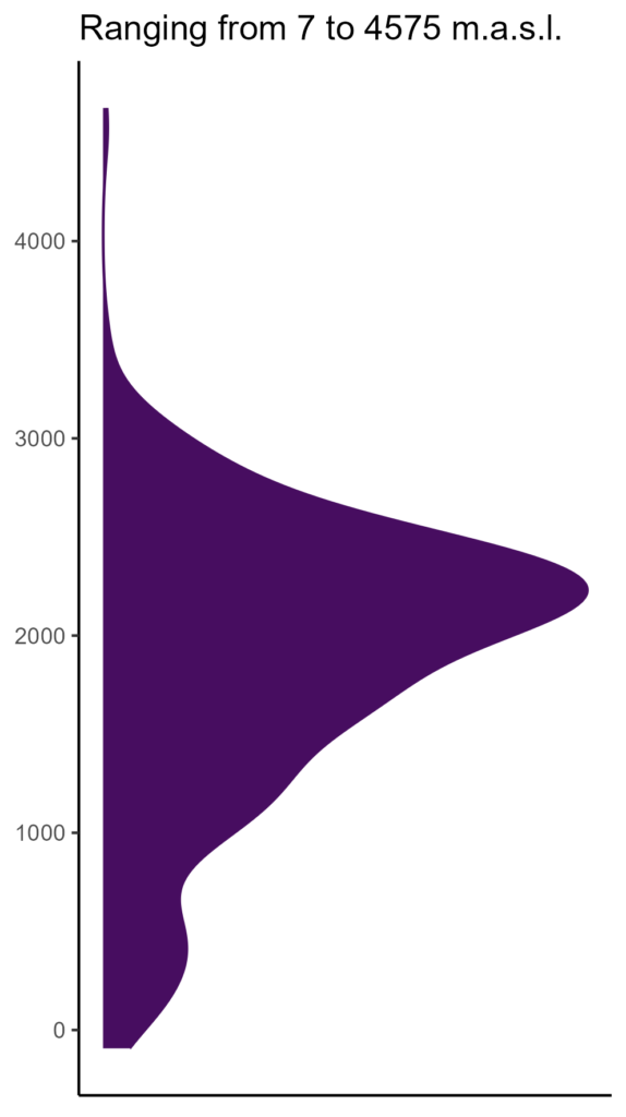 20260120 dep269 elev