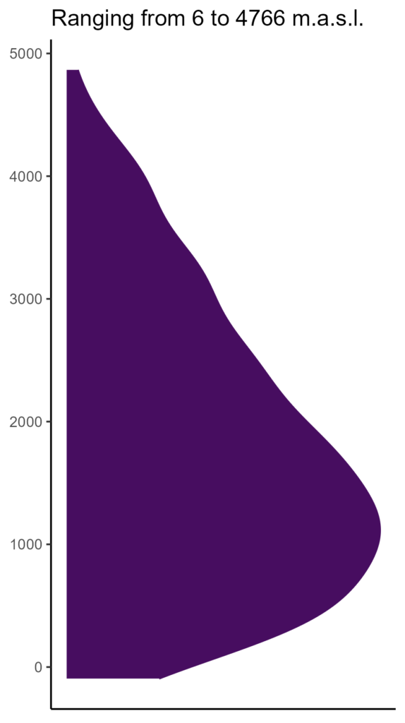 20260120 gcl374 elev