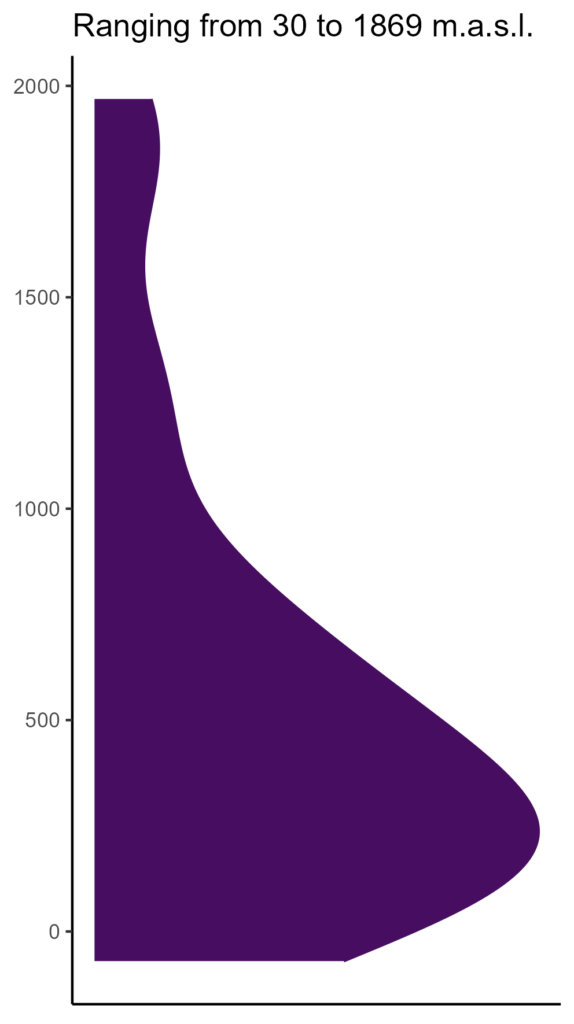 20260120 gdc240 elev