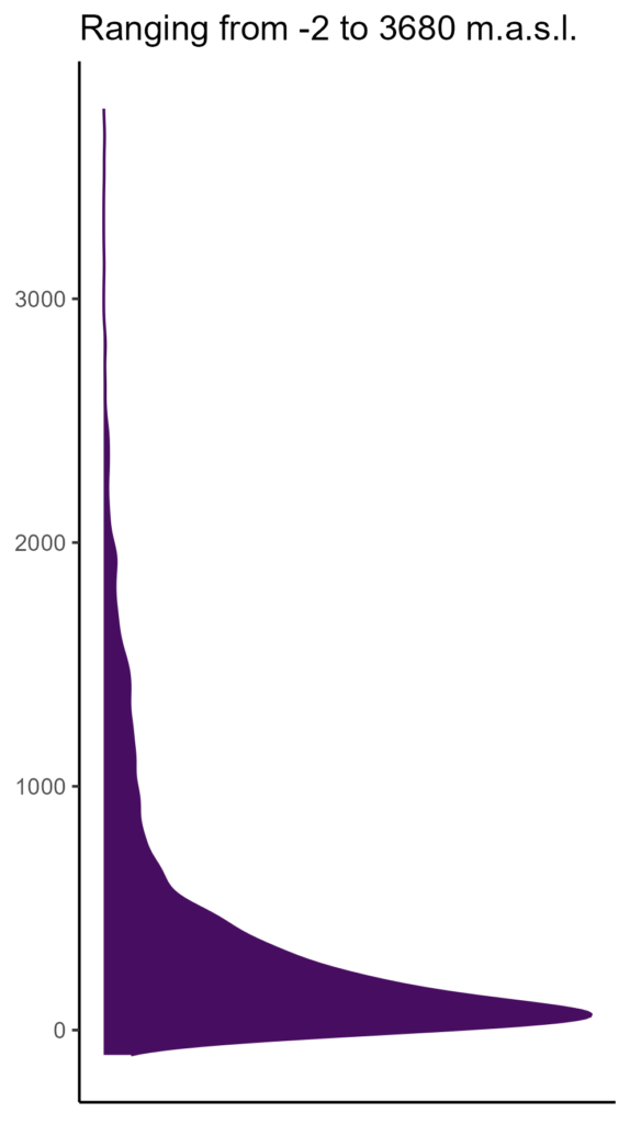 20260120 gdl375 elev