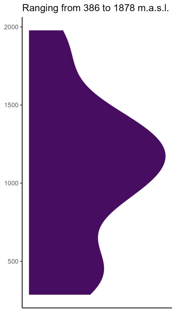 20260120 ghr033 elev