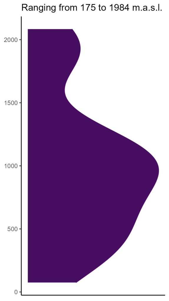 20260120 gpc333 elev