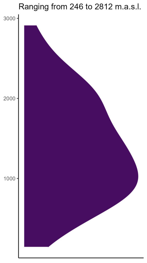 20260120 grm034 elev