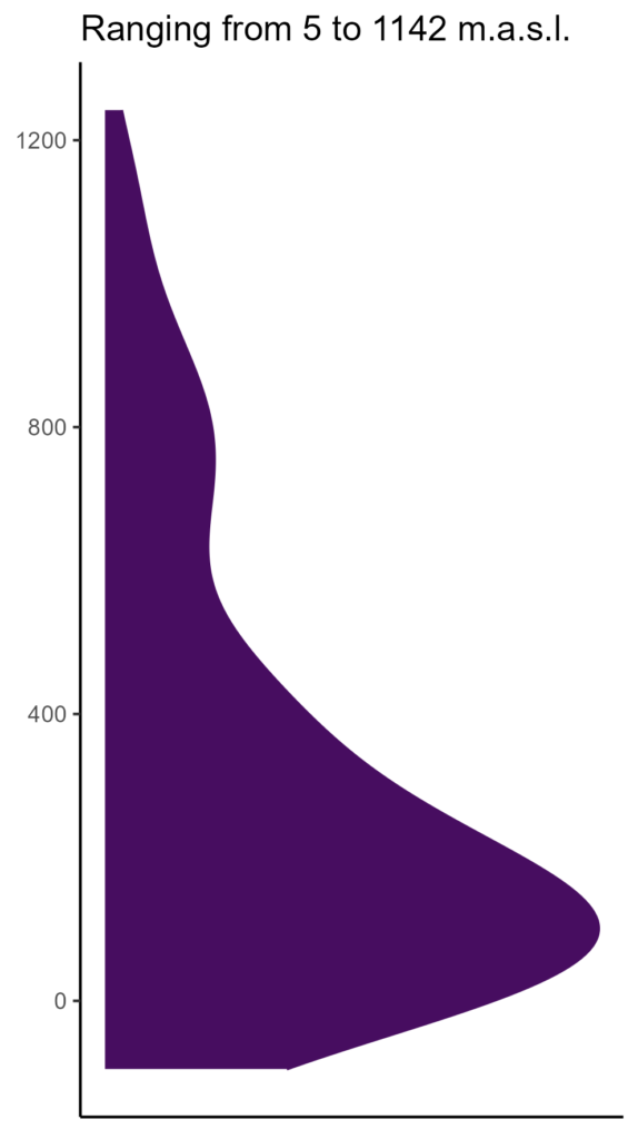 20260120 hhc221 elev