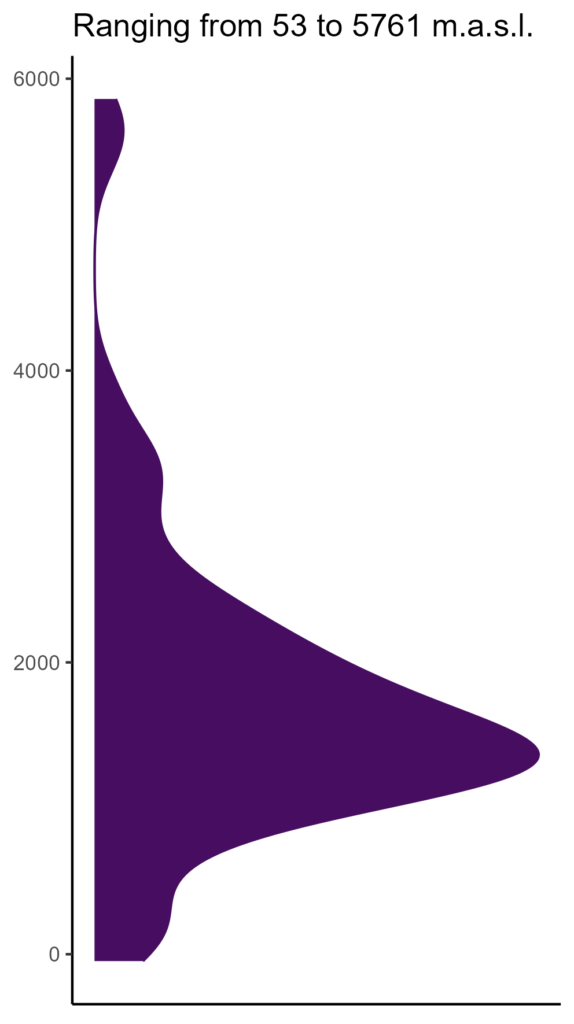 20260120 hhc275 elev