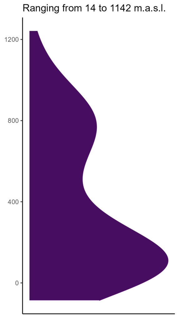 20260120 hhd153 elev