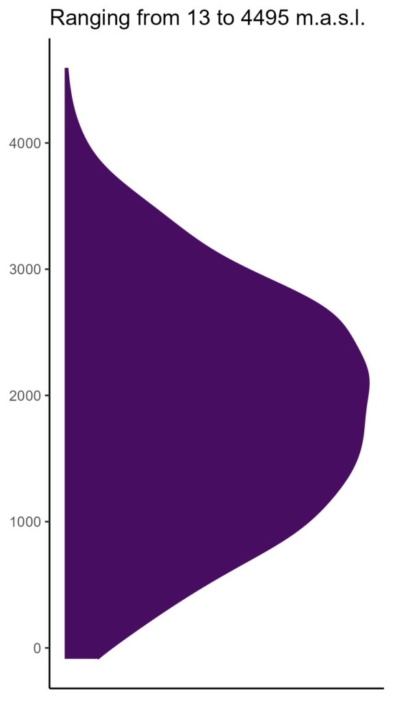 20260120 hhf334 elev