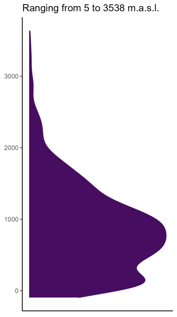 20260120 hhh335 elev