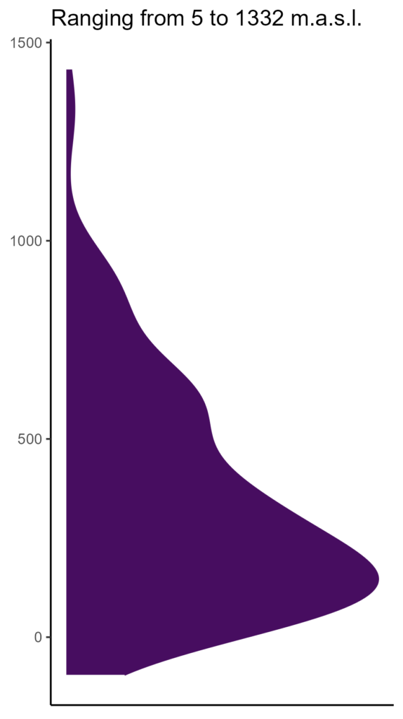 20260120 hhn256 elev